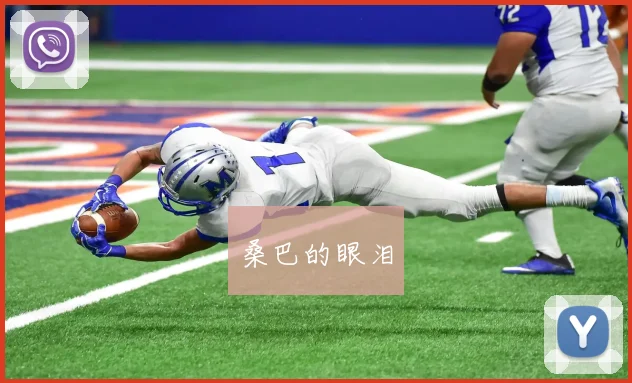 桑巴的眼泪