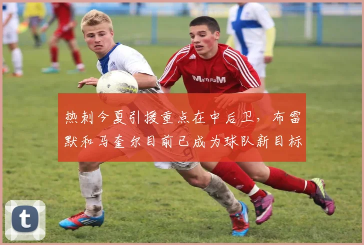 热刺今夏引援重点在中后卫，布雷默和马奎尔目前已成为球队新目标