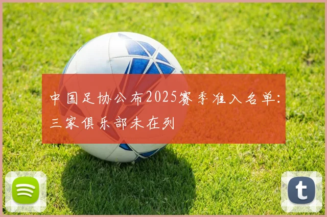 中国足协公布2025赛季准入名单：三家俱乐部未在列